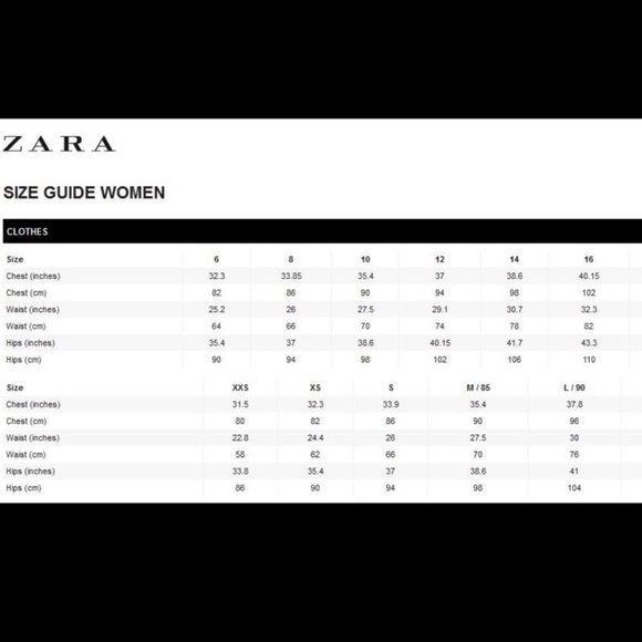 Zara Pants & Jumpsuits Zara Knit Pants Limited Edition Poshmark